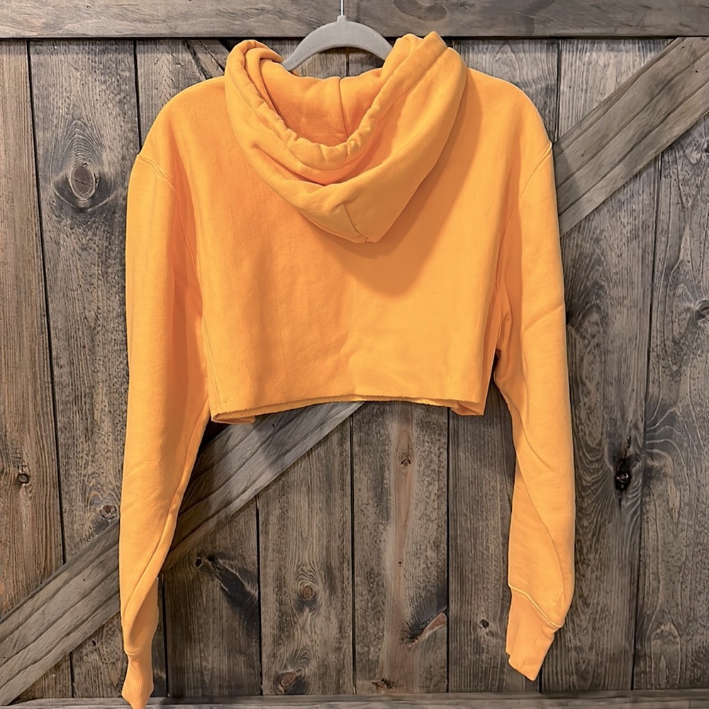 Champion Reverse Weave Cropped Hoodie - Picture 3 of 3
